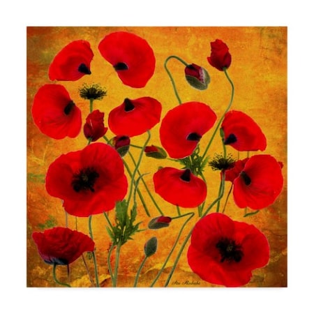 Ata Alishahi 'Poppy Flowers 2' Canvas Art,18x18